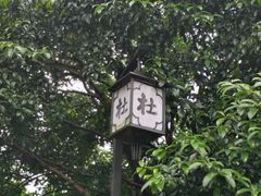-杜甫江阁