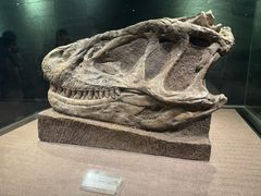 -自贡恐龙博物馆