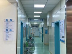 -北京观赏动物医院·24小时大型综合·猫专科·异宠专科