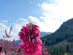 -天龙顶山地公园