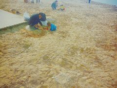 -天鹅湖体育公园
