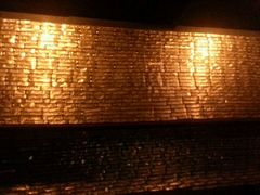 -Cocomangas Shooter Bar