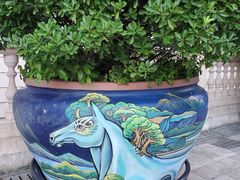 -海澜飞马水城