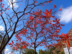 iphone_upload_pic-百里山水画廊乌龙峡谷
