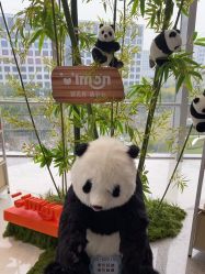 -IMON·HANSA潮玩玩偶毛绒玩具(通州万象汇店)