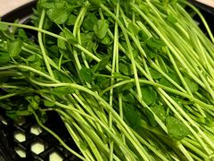 手割豆苗-囍凤楼·粤菜·点心·火锅(温特莱店)
