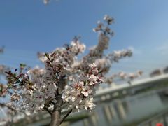 -映月湖中央公园