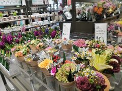 -鹿岛生活(熙地港店)