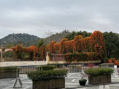 -厦门帝元维多利亚大酒店(环岛路黄厝海滩店)