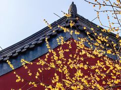 -钱王祠