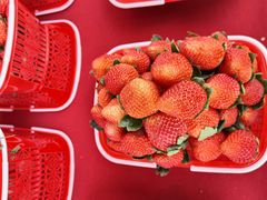 -金谷域澳洲庄园