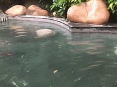 -天目湖御水温泉·度假酒店