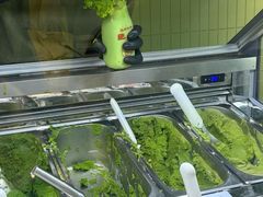 -鹤茶野所(上海首店)