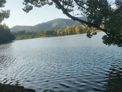 -慈城古县城景区