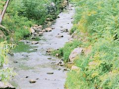 -羊山湖公园