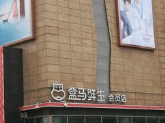 -盒马鲜生(大成店)