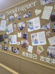 -上海首尔丽格医疗美容医院