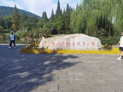 -习家池