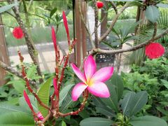 -南宫温泉水世界