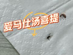 -顺和隆炖罐