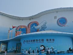 -哈尔滨极地公园