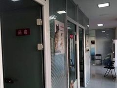 -瑞派福兴宠物医院犬猫全科·骨科·中西医结合(河东店)