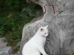 -四门塔风景区
