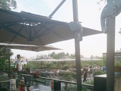 -蘇河湾·新鲁菜·泰山宴(泰山店)