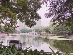 -荔湾湖公园