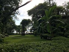 -卷心菜和避孕套餐厅(Pattaya)