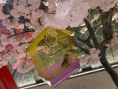 -蓝鲸湾汤泉(包河店)