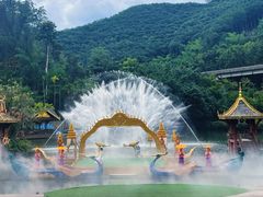 -西双版纳原始森林公园