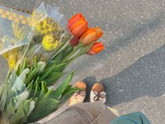 -循礼门鲜花花市(武汉循礼门店)