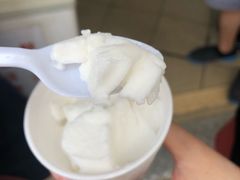 椰子雪糕-洪馨椰子