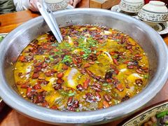 酸菜鱼-陈有良尖椒鸡(渝中示范店)