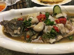 -陶缘一号·四季缘·老字号顺德菜·户外婚礼家宴(西滘店)