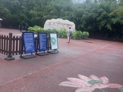 -莲花池公园