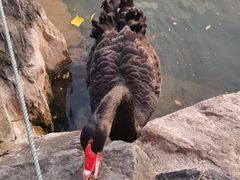 -上海怡沁园度假酒店