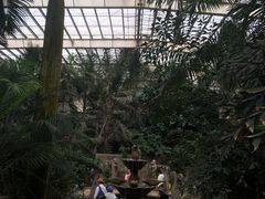 -龙达温泉生态城