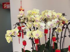 -土豆口腔(凤凰北总店)