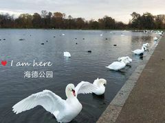 -海德公园