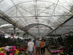 -三圣花乡旅游区