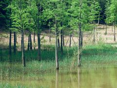 -神光山国家森林公园