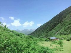 -黄龙山原始森林景区