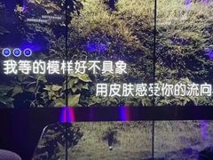 -纯K(打浦桥店)