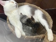 -弓舍射箭俱乐部(高新总店)