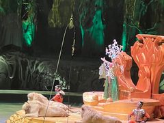 -广州长隆国际大马戏