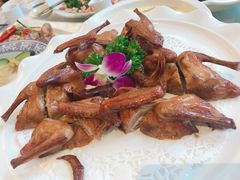 -新君悦国际酒店