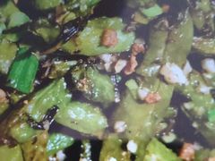 -三俞竹苑(红旗街万达店)