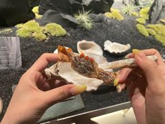 -曲廊院(东四十一条店)